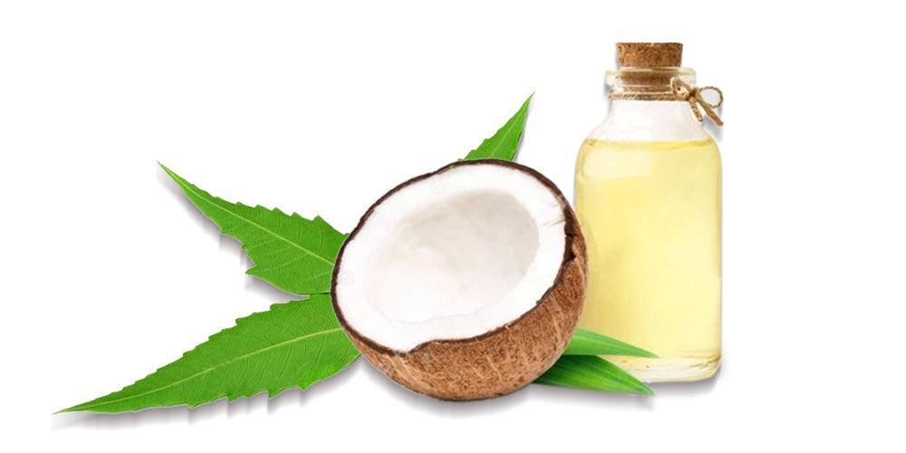 5 hair masks that will help you fight dandruff