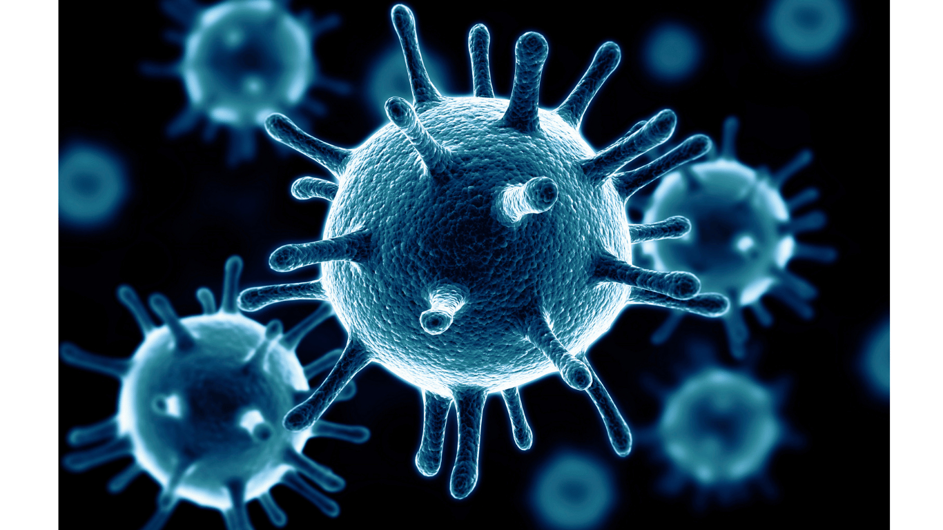 microbiome of human body, microbiome , mental health, immunity, immune system , metabolism ,  importance of microbiome to healthy skin, skin health, gut skin, digestion ,