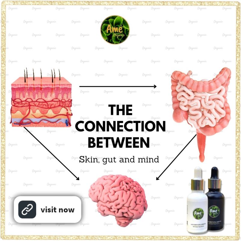 The Surprising Connection Between Your Gut, Skin, and Mind – Ame Organic