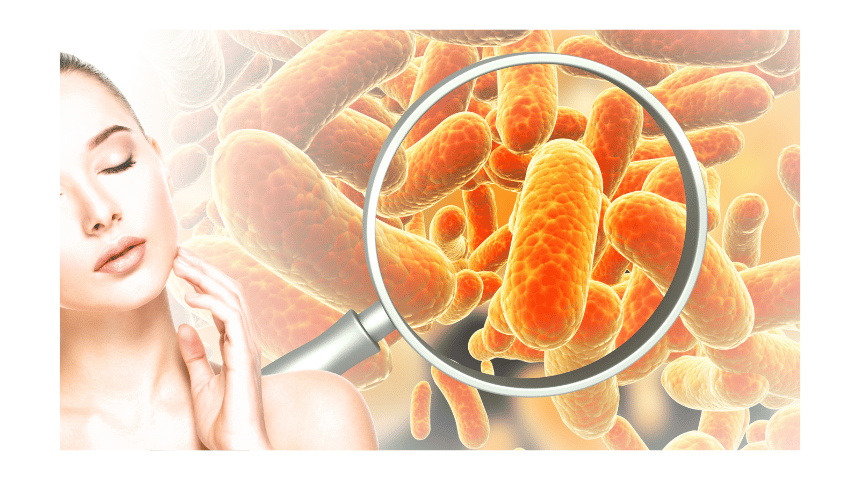 skin health , pathogen defence , good microorgansisms , mechanism of protection , skin gut mind axis , gut microbes, immune system boosting , gut health, digetion microbe , skin care , good life with good microorganisms 